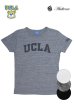 画像1: UCLA"UCLA"三素材混カレッジプリント半袖クルーネックTシャツ / Audience (1)