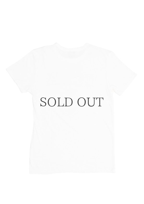 画像3:  UCLA"UCLA"エンブレム三素材混カレッジプリント半袖クルーネックTシャツ [Lady's] / Audience