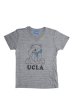 画像2: UCLA"Sleepy Bear"コットン/三素材混カレッジプリント半袖VネックTシャツ [Lady's] / Audience (2)