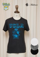 【RE PRICE / 価格改定】 UCLA"UCLA"エンブレム三素材混カレッジプリント半袖クルーネックTシャツ [Lady's] / Audience