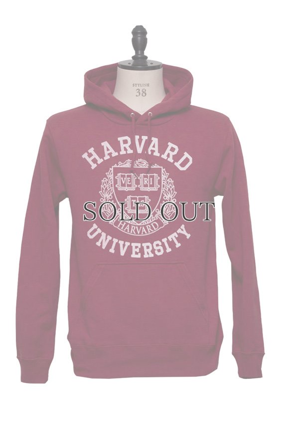 画像9: HARVARD"HARVARD EMBLEM UNIVERSITY"フーデッドライトパーカー / Audience