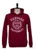 画像9: 【RE PRICE / 価格改定】HARVARD"HARVARD EMBLEM UNIVERSITY"フーデッドライトパーカー / Audience