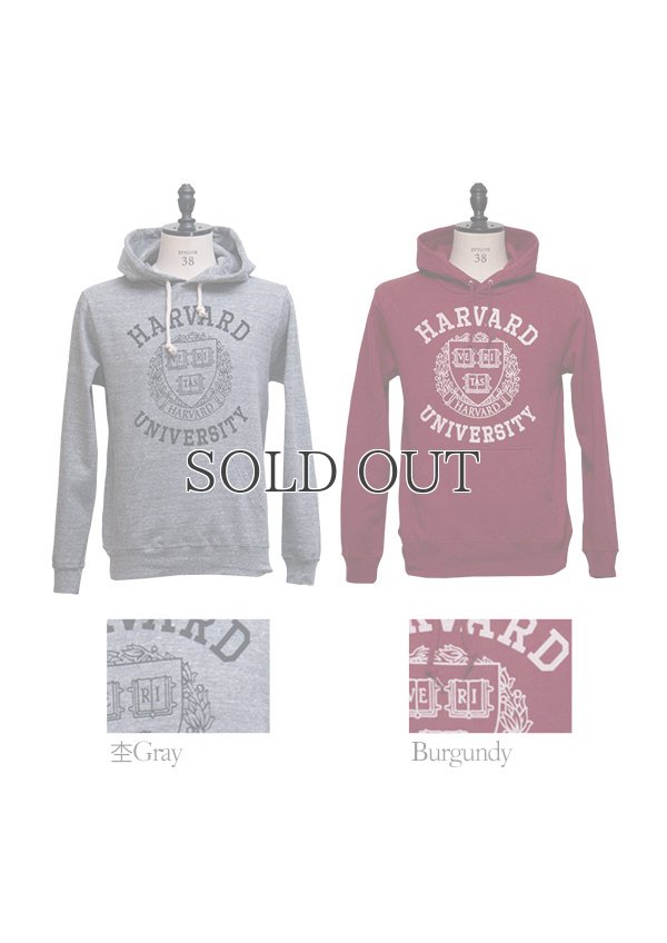 画像11: HARVARD"HARVARD EMBLEM UNIVERSITY"フーデッドライトパーカー / Audience