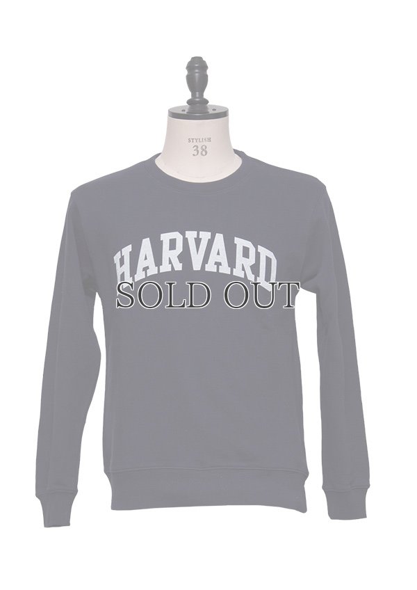 画像2: HARVARD"HARVARD"クルーネック長袖スウェット[Lady's] / Audience