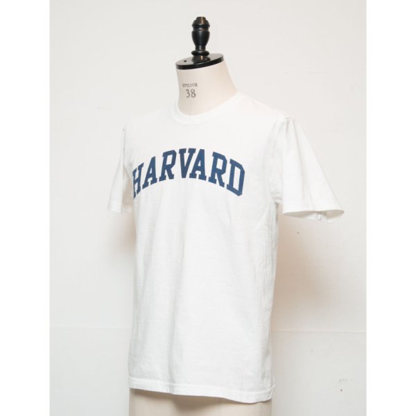 画像2: 【RE PRICE / 価格改定】HARVARD"HARVARD"C/N S/S 6oz オールドプリントT [Lady's] / Audience