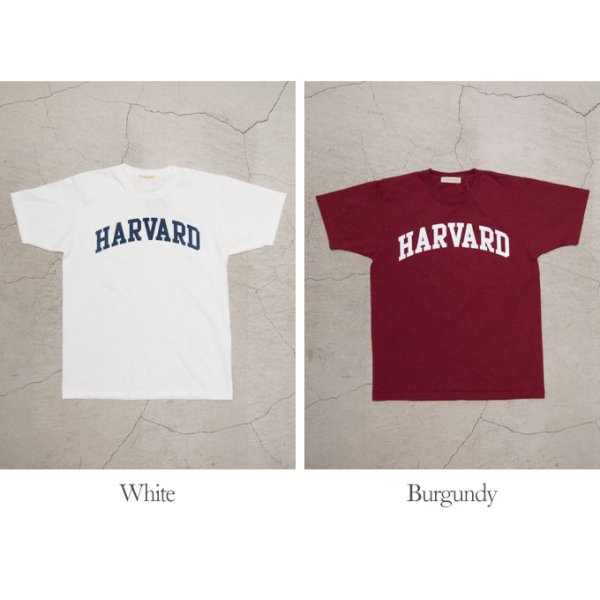 画像5: 【RE PRICE / 価格改定】HARVARD"HARVARD"C/N S/S 6oz オールドプリントT [Lady's] / Audience