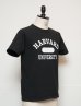 画像3: HARVARD"HARVARD UNIVERSITY"C/N S/S 6oz オールドプリントT / Audience (3)