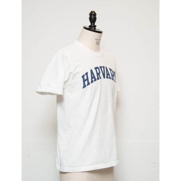 画像3: 【RE PRICE / 価格改定】HARVARD"HARVARD"C/N S/S 6oz オールドプリントT [Lady's] / Audience