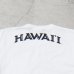 画像19: 【RE PRICE/価格改定】University of Hawaii "HAWAII" 7.1oz米綿丸胴オールドプリントクルーネックポケットT / Audience