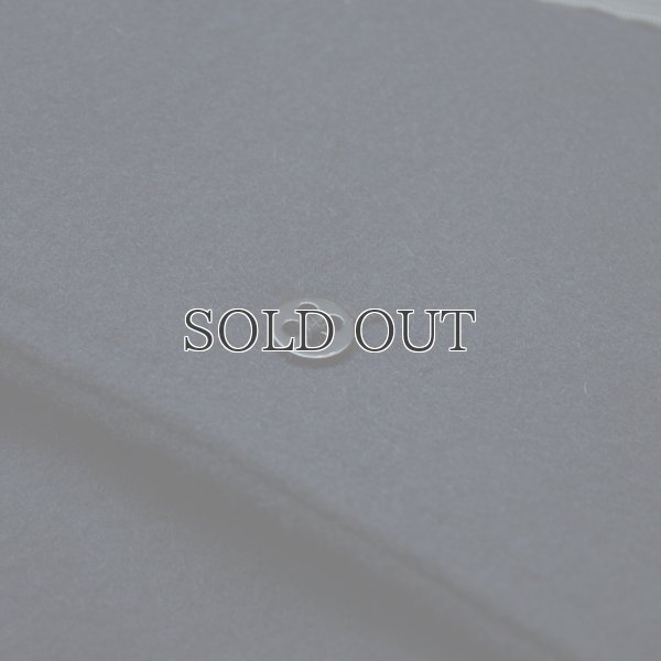 画像20: 550gピュアウールメルトン脱着フード付サーモライトキルトステンカラーコート [Lady's]【送料無料】 / Audience【取寄せ対応可能】