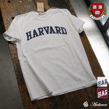 【RE PRICE / 価格改定】HARVARD"HARVARD"C/N S/S 6oz オールドプリントT [Lady's] / Audience