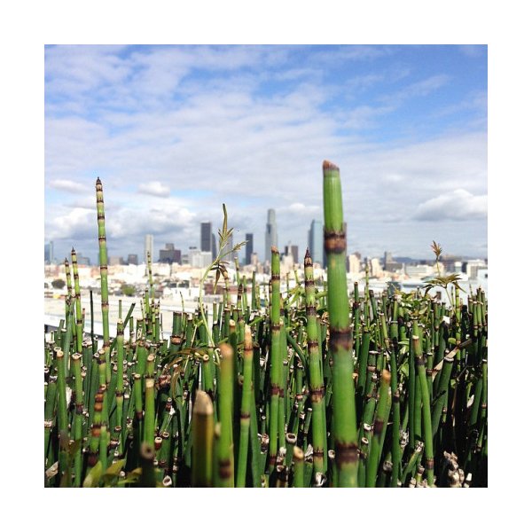 画像12: 【RE PRICE / 価格改定】WKS SHEEP EMBROIDERD Tシャツ【MADE IN U.S.A】『米国製』 / WOLVES KILL SHEEP