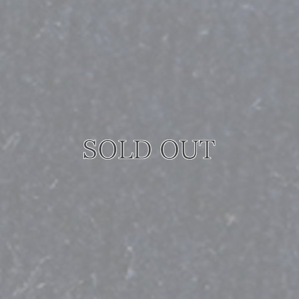 画像15: ベロアマオカラージャケット / Audience