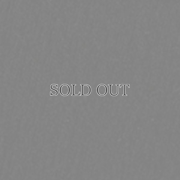 画像11: 4WAYストレッチナイロン スタンドフードベスト［Lady's］【送料無料】Audience