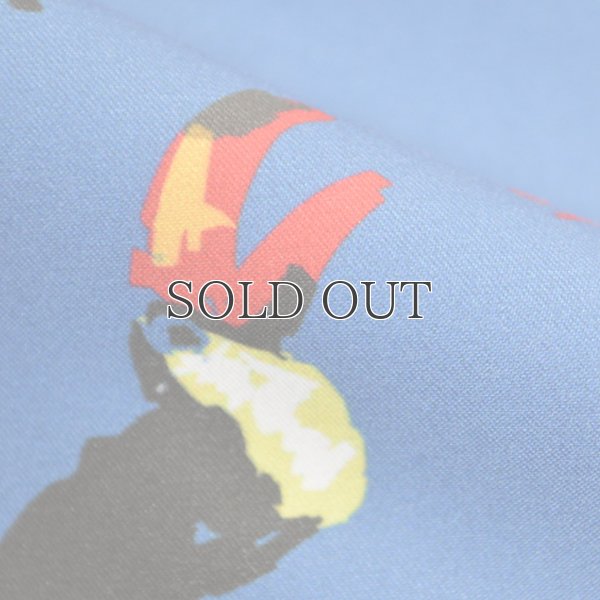 画像20: "Coffs Blue "ショーツ【送料無料】/Franks