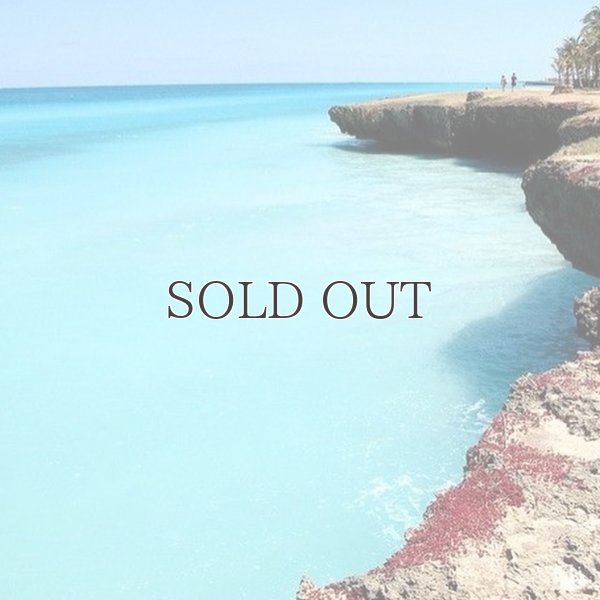 画像9: "Manly "ショーツ【送料無料】/Franks