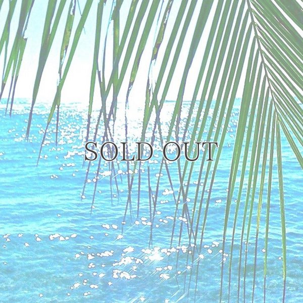 画像10: "Coffs Blue "ショーツ【送料無料】/Franks