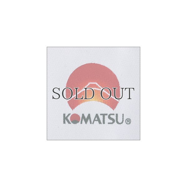 画像20: 小松精錬撥水ナイロン 脱着ファー付マウンテン　ダウンジャケット 【送料無料】 / Audience 