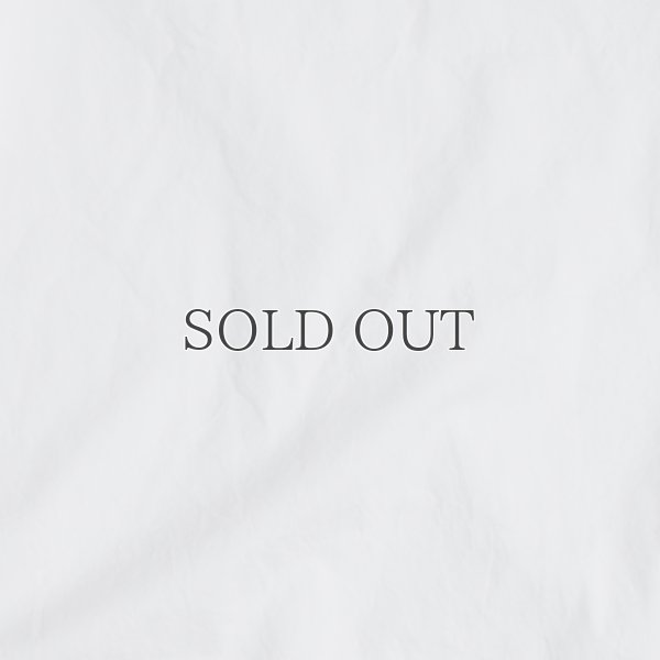 画像24: 吊り編み天竺V/ネック L/S Tee【MADE IN TOKYO】『東京製』/ Upscape Audience