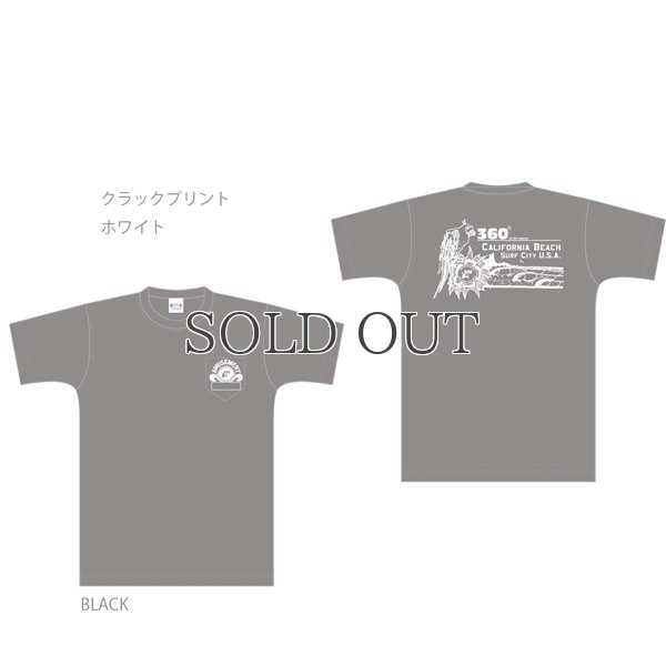 画像15: 360°SPORTS WEAR（スリーシックスティスポーツウェア） "BIRD" 6oz米綿丸胴ポケ付きS/S Tee/ Audience