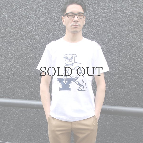 画像6: 6.2oz丸胴YALE"Y-Handsome"オールドプリントTEE / Audience