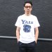 画像7: 【RE PRICE / 価格改定】6.2オンス丸胴BODY YALE"Handsome-YALEオールドプリント"TEE / Audience