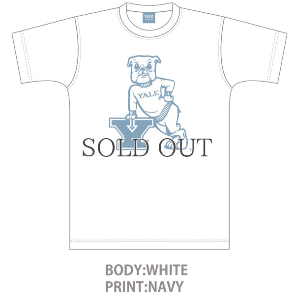 画像8: 6.2oz丸胴YALE"Y-Handsome"オールドプリントTEE / Audience