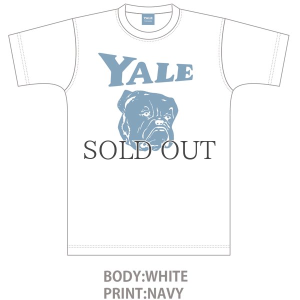 画像8: 6.2オンス丸胴BODY YALE"Handsome-YALEオールドプリント"TEE / Audience