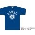 画像7: 【RE PRICE / 価格改定】6.2oz丸胴HAWAII”UNIVERSITY OF HAWAII”オールドプリントTEE / Audience