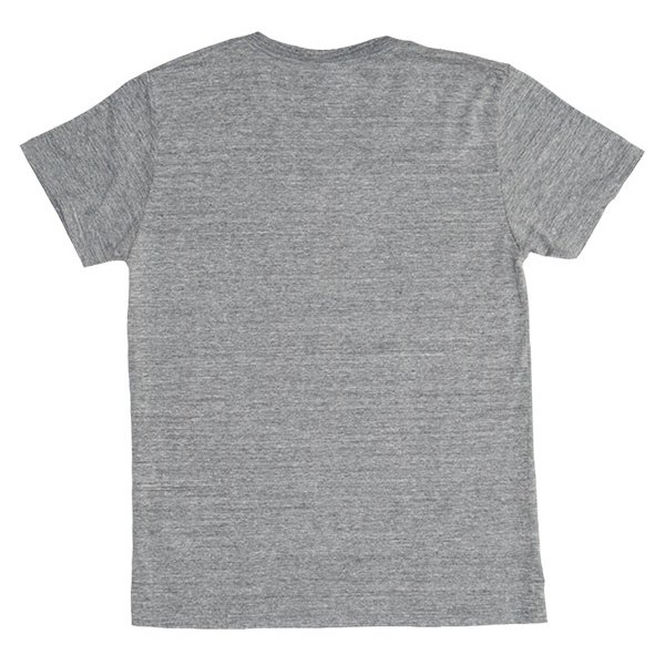 画像10: 【RE PRICE / 価格改定】 UCLA"BRUINS"コットン/三素材混カレッジプリント半袖VネックTシャツ / Audience