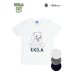 画像6: 【RE PRICE / 価格改定】 UCLA"Sleepy Bear"コットン/三素材混カレッジプリント半袖VネックTシャツ / Audience