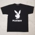 画像15: 【RE PRICE / 価格改定】PLAYBOY ラビッドヘッドオールドプリント半袖Tシャツ / Audience