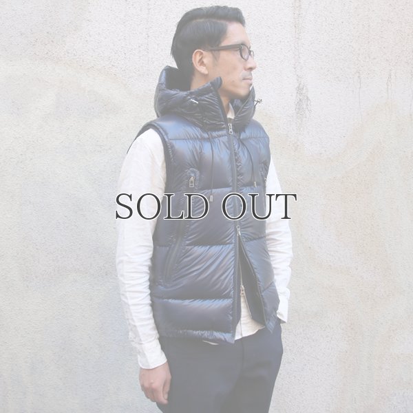 画像6: 『ダウン＆フェザー』DICROS DNA Lightスタンドフードダウンベスト 【送料無料】 / Audience
