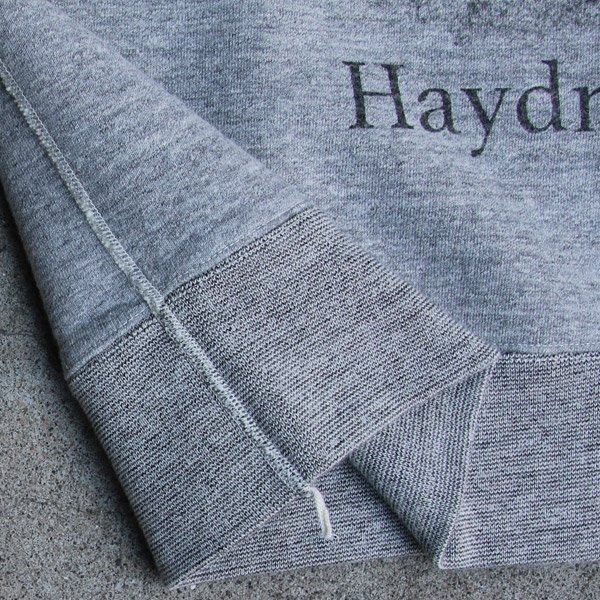 画像18: 19/7吊編裏毛 Haydn Joseph プリント ラグランスウェット【MADE IN TOKYO】『東京製』/ Upscape Audience