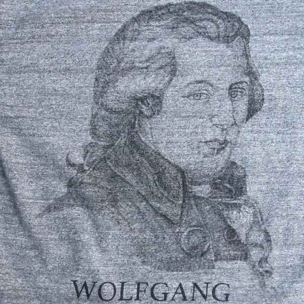 画像14: 16/1吊編天竺 Wolfgang プリント 半袖 Tee【MADE IN TOKYO】『東京製』/ Upscape Audience