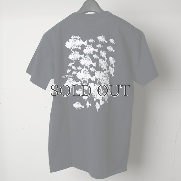 画像17: BRONZE AGE（ブロンズエイジ）"SCHOOL OF FISH"プリントTEE/ Audience