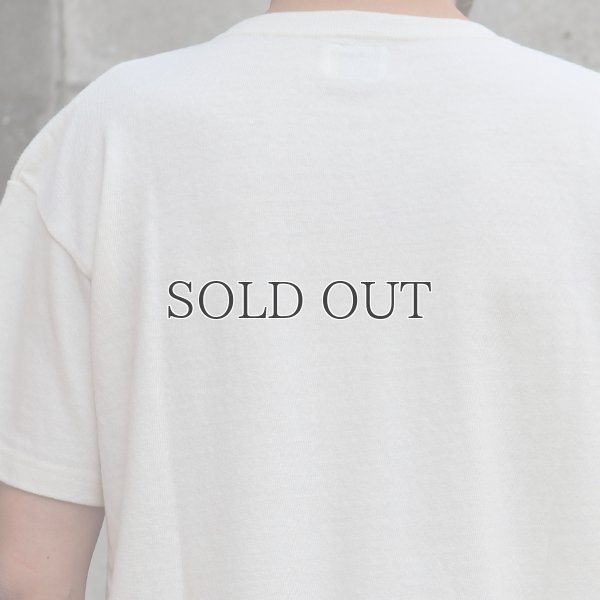 画像11: Riding High / 12/-JERSEY FLOCKY PRINT S/S TEE (ALOHA)【MADE IN JAPAN】『日本製』