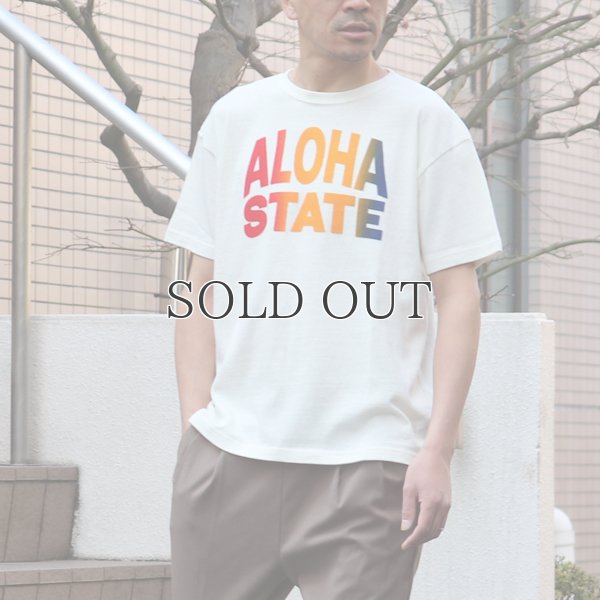 画像4: Riding High / 12/-JERSEY FLOCKY PRINT S/S TEE (ALOHA)【MADE IN JAPAN】『日本製』