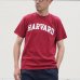 画像2: 【RE PRICE/価格改定】HARVARD"HARVARD"C/N S/S 6oz オールドプリントT / Audience (2)