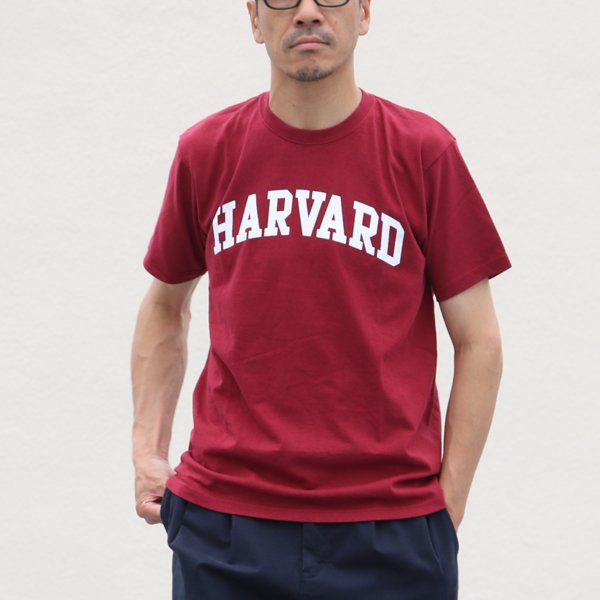 画像7: 【RE PRICE/価格改定】HARVARD"HARVARD"C/N S/S 6oz オールドプリントT / Audience