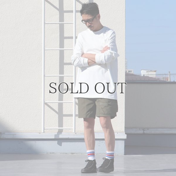 画像9: Teflon（テフロン）60/40クロス ストレージ カーゴ アシンメトリーショーツ /Audience