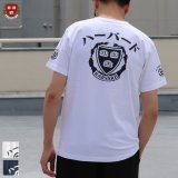 【RE PRICE / 価格改定】Harvard ”3面”プリントTEE【Audience】