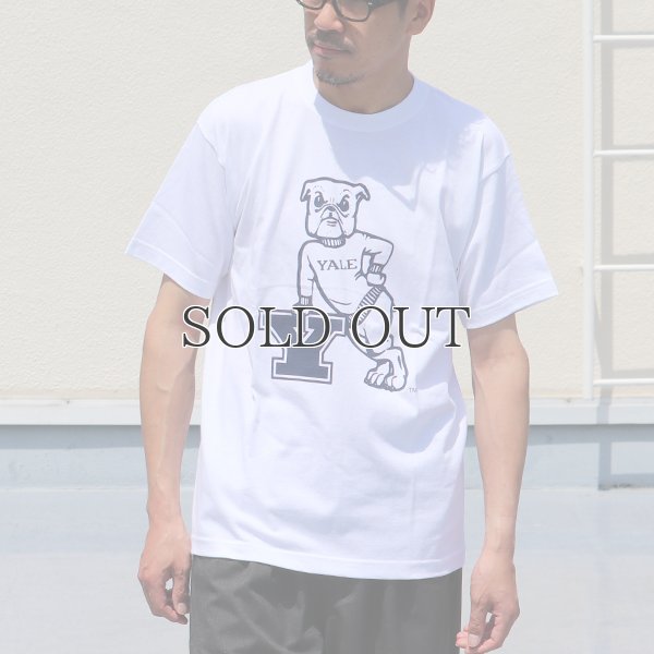画像3: 6.2oz丸胴YALE"Y-Handsome"オールドプリントTEE / Audience