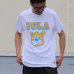 画像4: 6.2oz丸胴UCLA"BEAR"オールドプリントTEE / Audience