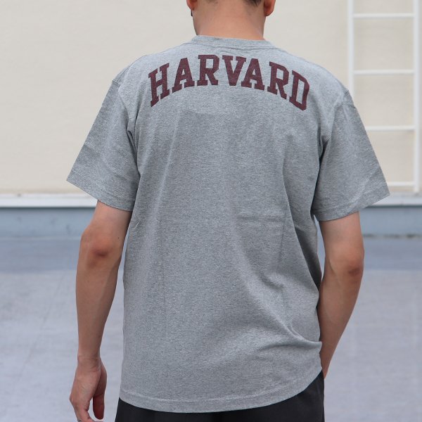 画像4: 【RE PRICE / 価格改定】Harvard University "HARVARD" 7.1oz米綿丸胴オールドプリントクルーネックポケットT / Audience