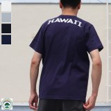 【RE PRICE/価格改定】University of Hawaii "HAWAII" 7.1oz米綿丸胴オールドプリントクルーネックポケットT / Audience