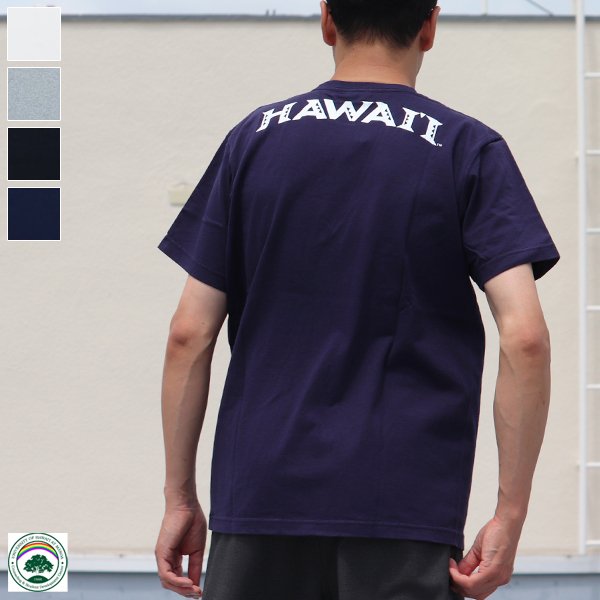 画像1: 【RE PRICE/価格改定】University of Hawaii "HAWAII" 7.1oz米綿丸胴オールドプリントクルーネックポケットT / Audience