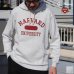 画像1: HARVARD"HARVARD UNIVERSITY"フーデッドライトパーカー / Audience (1)