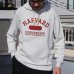 画像2: HARVARD"HARVARD UNIVERSITY"フーデッドライトパーカー / Audience (2)