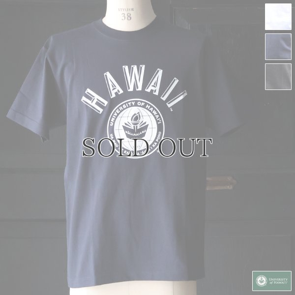画像1: 6.2oz丸胴HAWAII”UNIVERSITY OF HAWAII”オールドプリントTEE / Audience